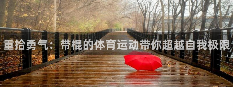 蓝狮在线体育官网登录：重拾勇气：带棍的体育运动带你超越自我极限