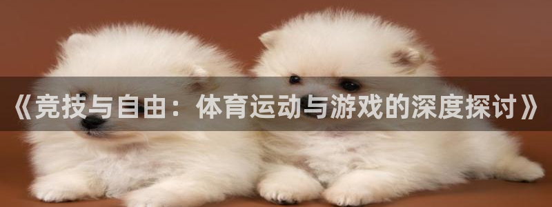 蓝狮在线2体育登录入口：《竞技与自由：体育运动与游戏的深度探讨》