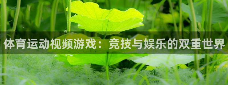 蓝狮在线体育论坛：体育运动视频游戏：竞技与娱乐的双重世界