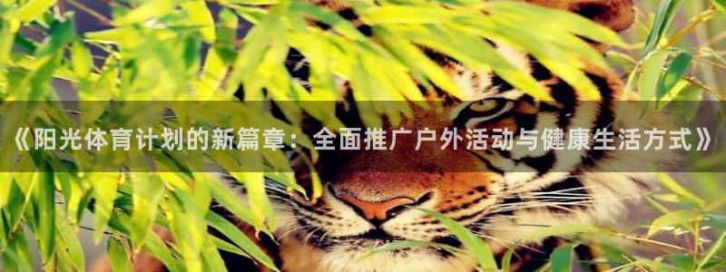 蓝狮在线体育4：《阳光体育计划的新篇章：全面推广户外活动与健康生活方式》