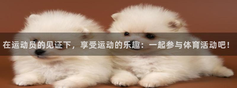 蓝狮在线零能源集团：在运动员的见证下，享受运动的乐趣：一起参与体育活动吧！