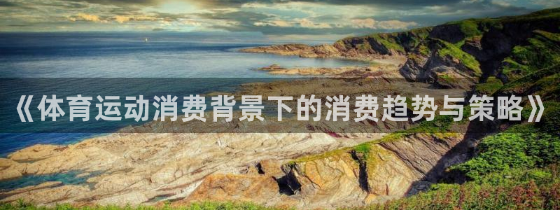 蓝狮在线2登录：《体育运动消费背景下的消费趋势与策略》