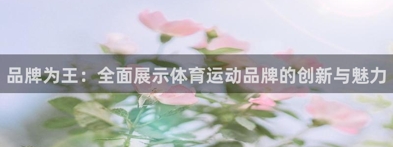 蓝狮在线体育注册登录入口：品牌为王：全面展示体育运动品牌的创新与魅力