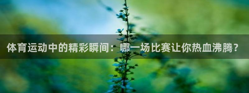 蓝狮在线体育注册：体育运动中的精彩瞬间：哪一场比赛让你热血沸腾？