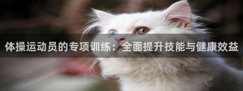 蓝狮在线官网：体操运动员的专项训练：全面提升技能与健康效益