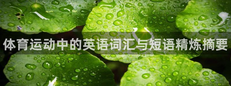 意昂注册：体育运动中的英语词汇与短语精炼摘要