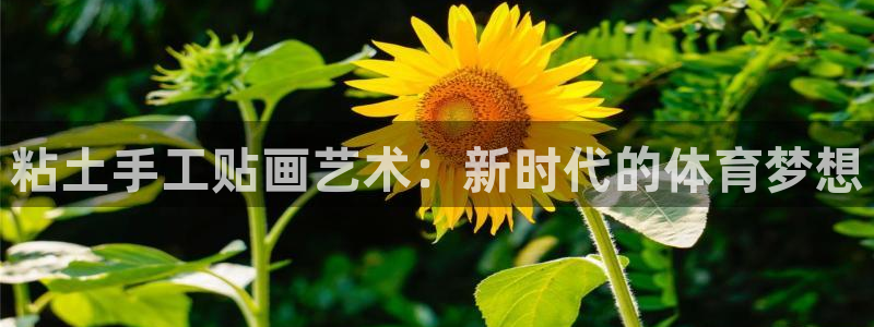 意昂平台注册：粘土手工贴画艺术：新时代的体育梦想