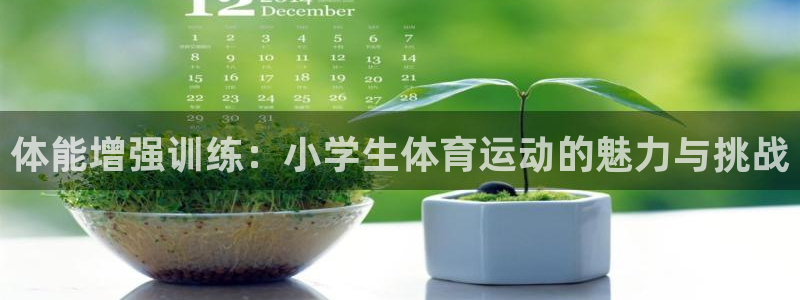 福建意昂机电股份公司：体能增强训练：小学生体育运动的魅力与挑战