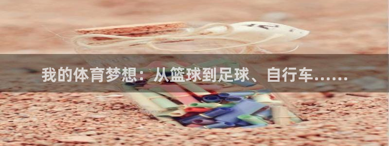 蓝狮在线2平台登录：我的体育梦想：从篮球到足球、自行车......