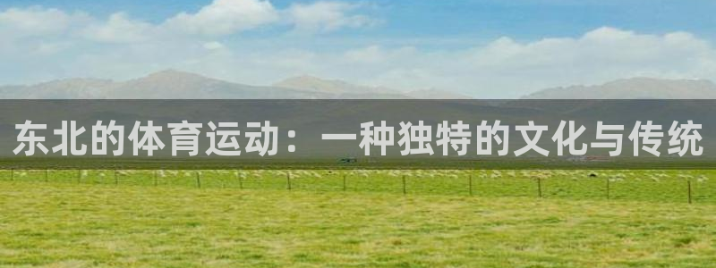 蓝狮在线4开户：东北的体育运动：一种独特的文化与传统