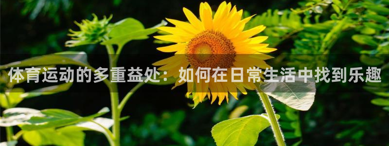意昂招商：体育运动的多重益处：如何在日常生活中找到乐趣