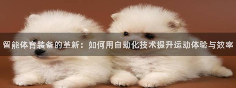 蓝狮在线体育凯捷平台招商：智能体育装备的革新：如何用自动化技术提升运动体验与效率