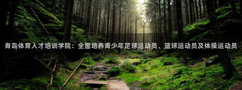 蓝狮在线体育官网注册：青岛体育人才培训学院：全面培养青少年足球运动员、篮球运动员