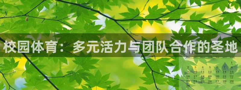 蓝狮在线2平台注册：校园体育：多元活力与团队合作的圣地
