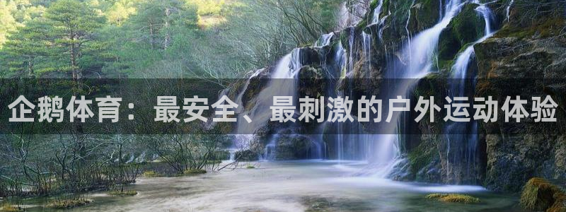 蓝狮在线体育1招商：企鹅体育：最安全、最刺激的户外运动体验