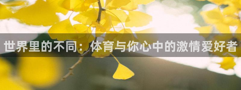 意昂体育注册：世界里的不同：体育与你心中的激情爱好者